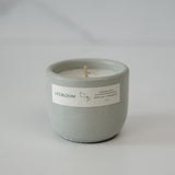 Serene Oasis Scented Candle
