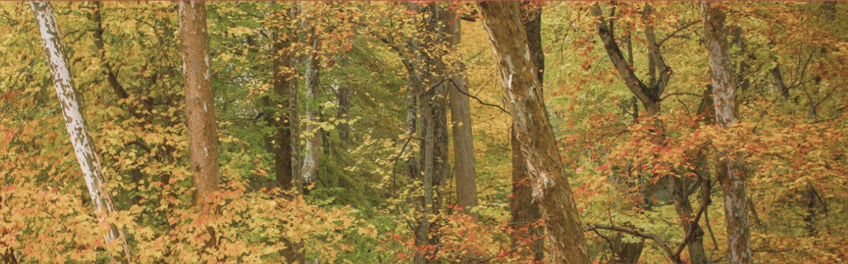 Autumn Bestsellers