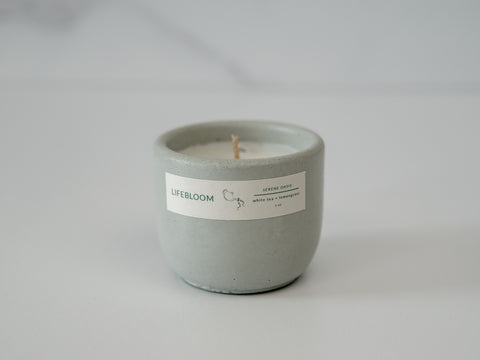 Serene Oasis Scented Candle