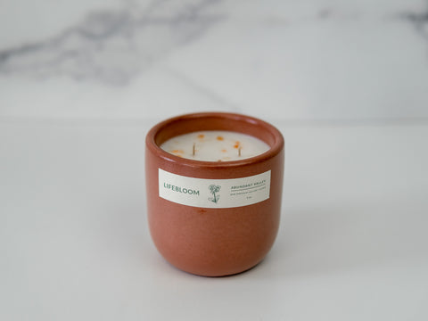 Abundant Valley Scented Candle