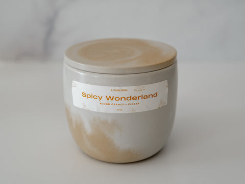 Spicy Wonderland Scented Candle